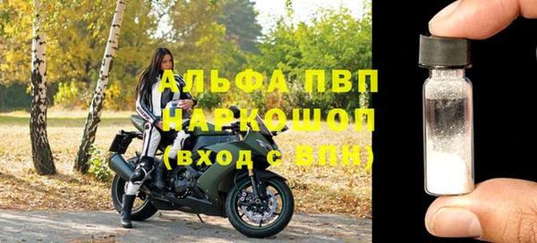 индика Аркадак