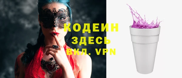 индика Аркадак