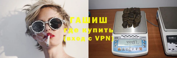 индика Аркадак