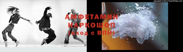 индика Аркадак