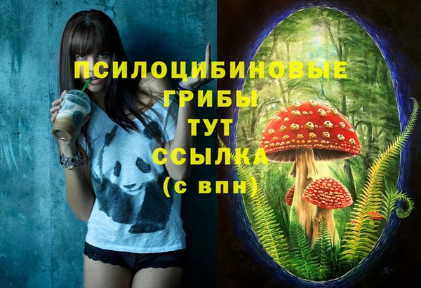 индика Аркадак