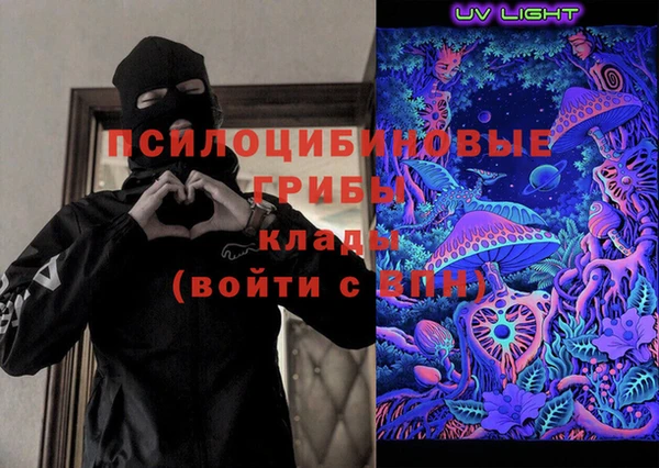 индика Аркадак