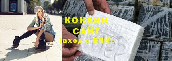 индика Аркадак