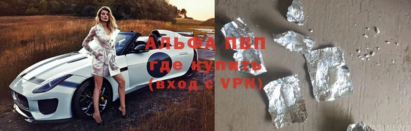 индика Аркадак