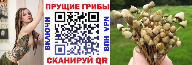 Галлюциногенные грибы мухоморы  ОМГ ОМГ зеркало  Барабинск  наркотики 