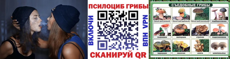 Галлюциногенные грибы мицелий Барабинск